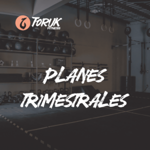 Planes Trimestrales Toruk